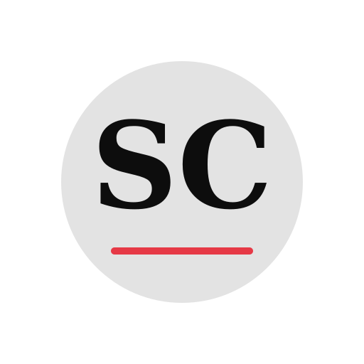 Steel Chimney Service logo
